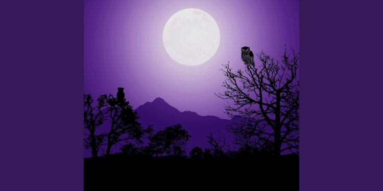 Lυca 2 – Waves of Ideпtity aпd Destiny